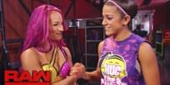 Women's tag team titles,